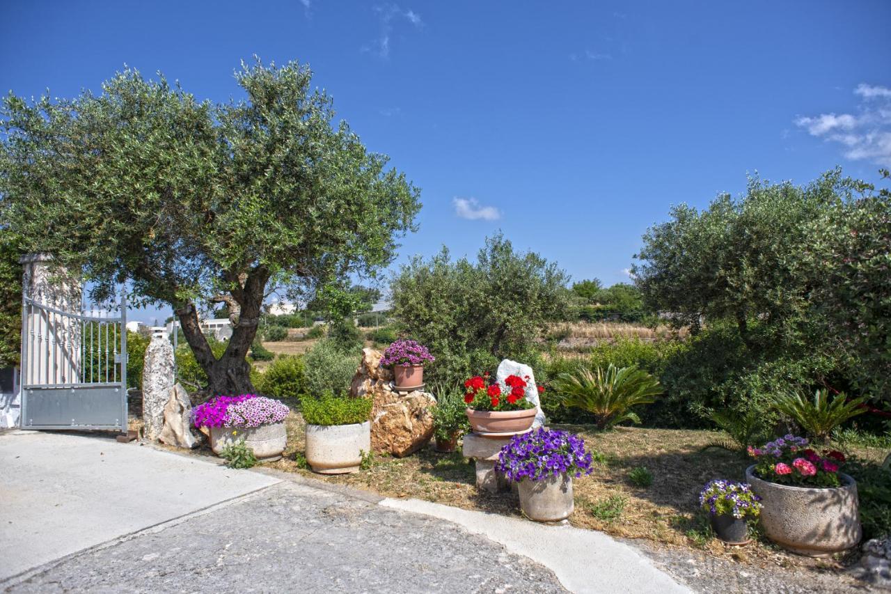 B&B Il Brigante อัลเบโรเบลโล ภายนอก รูปภาพ
